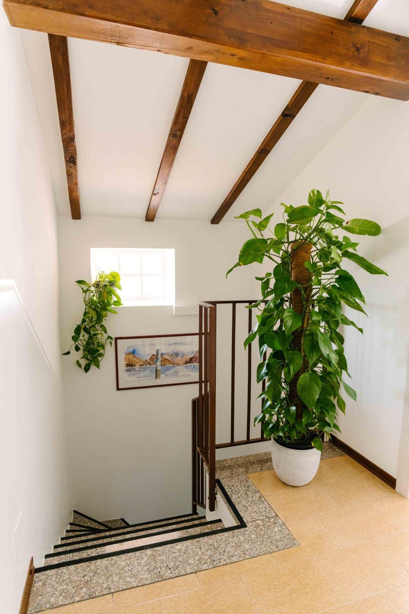 B&B Spina Verde 科莫 外观 照片